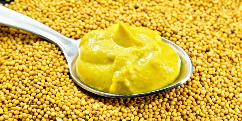 Yellow mustard