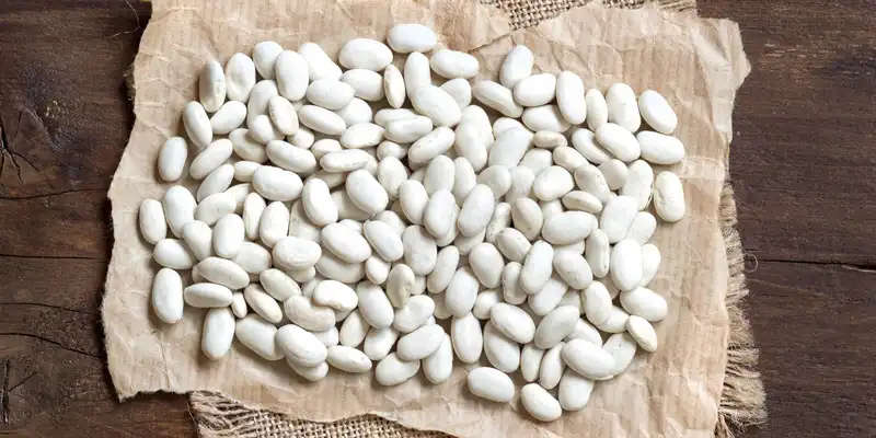 Navy beans (without salt)