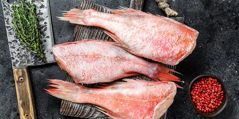 Raw ocean perch