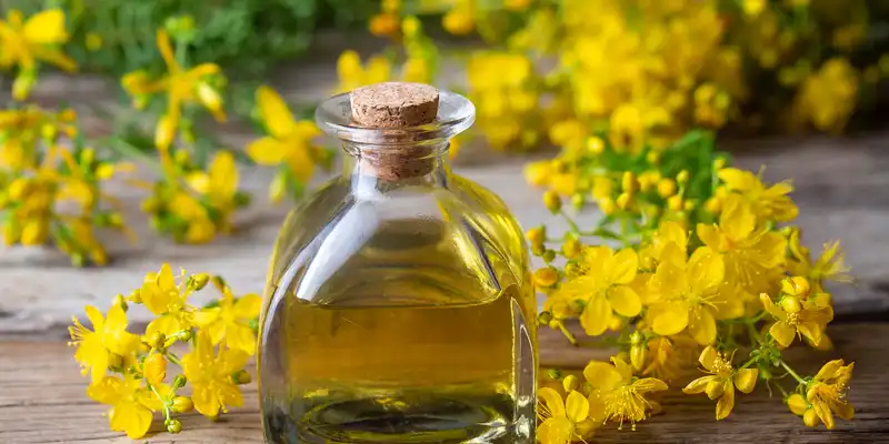 Olio di canola