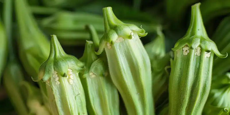 Raw okra