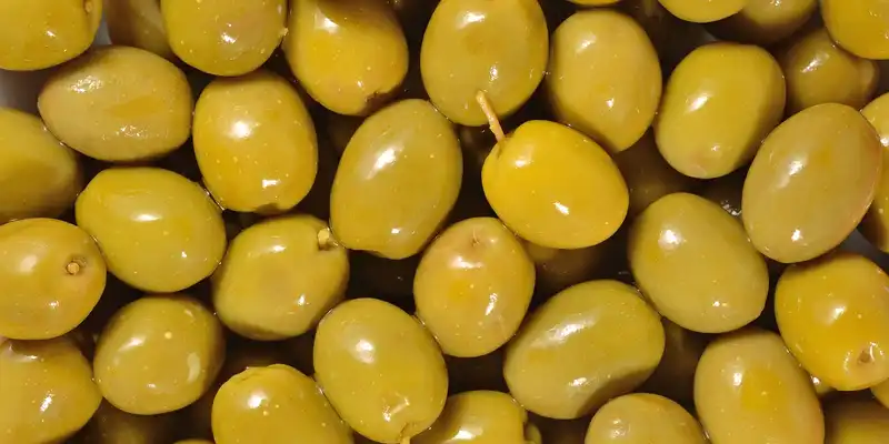 Olives marinées vertes en conserve