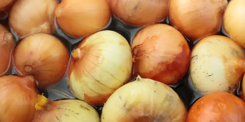 Raw onion