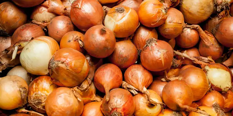 Onion (whole)