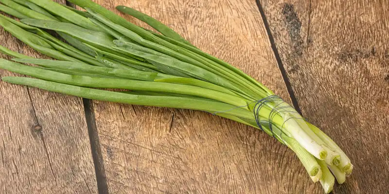 Cipolla verde giovane (solo le cime)