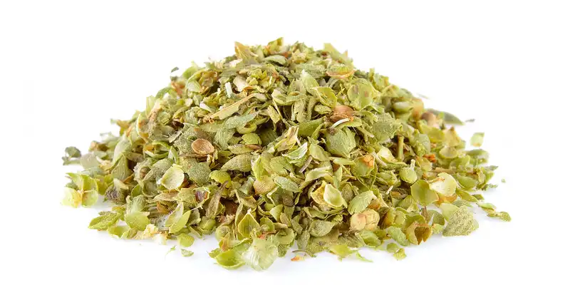 Suszone oregano