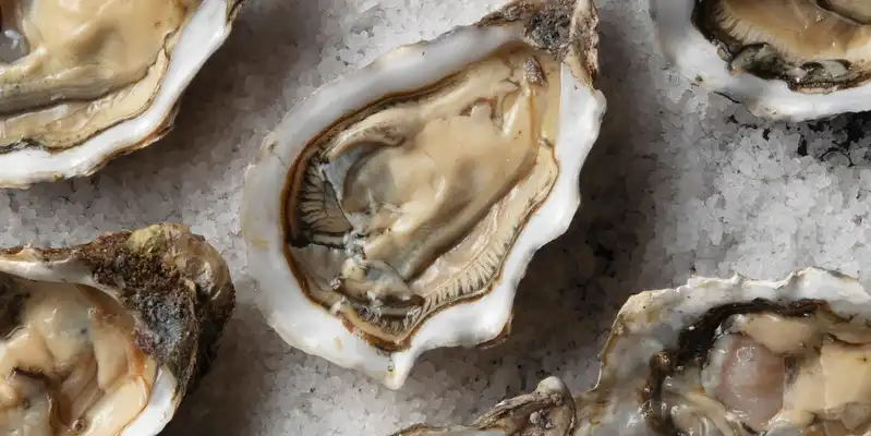 Baked or broiled oyster