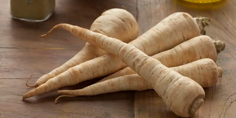 Parsnip (with salt)