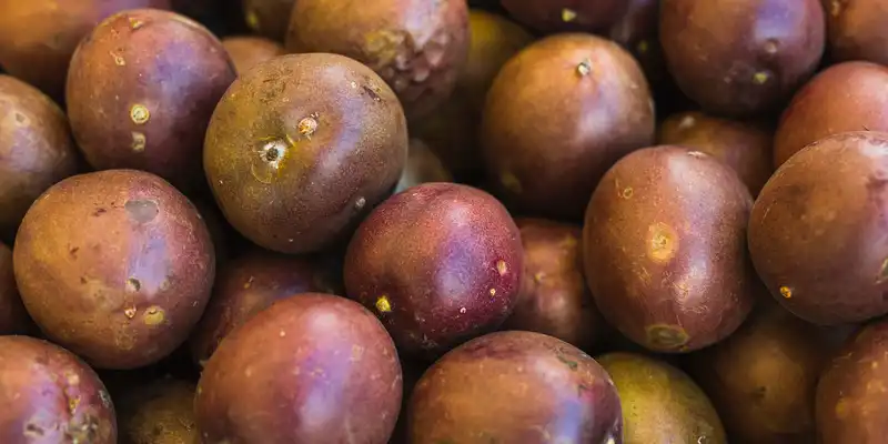 Raw purple passion fruit