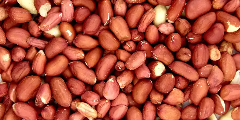 Raw peanuts