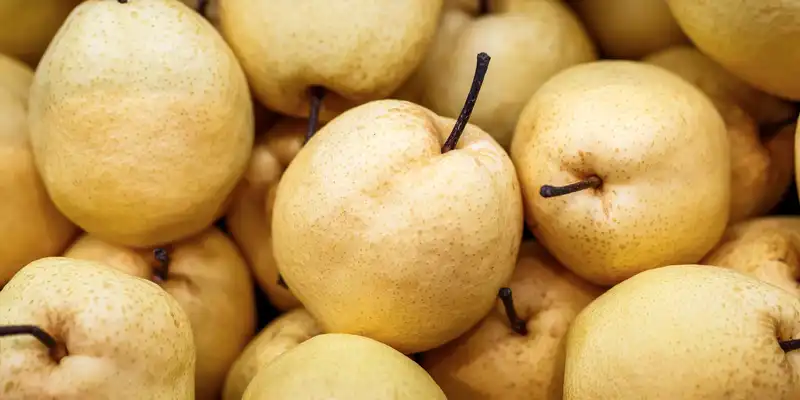 Raw asian pear