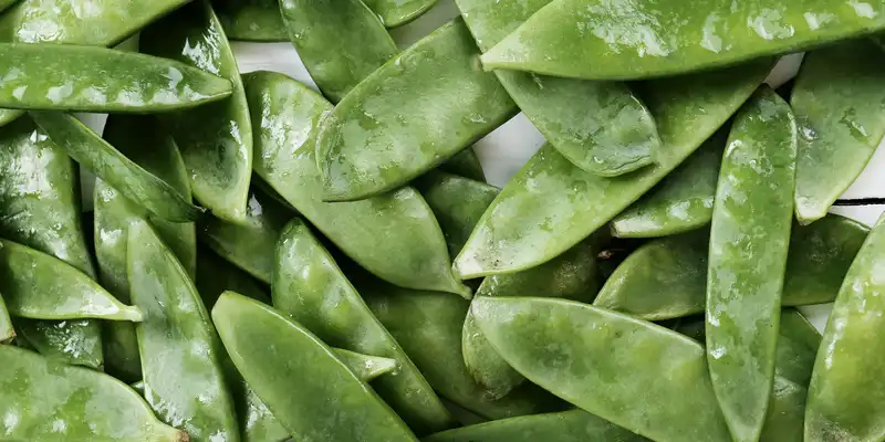 Raw edible podded peas