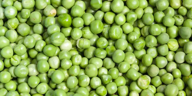 Raw green peas