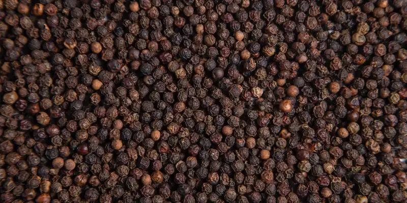 Black pepper (spice)