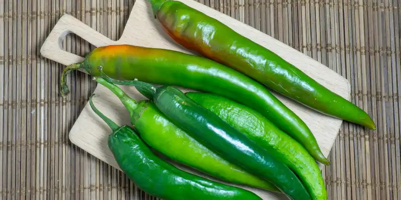 Guindillapimiento verde