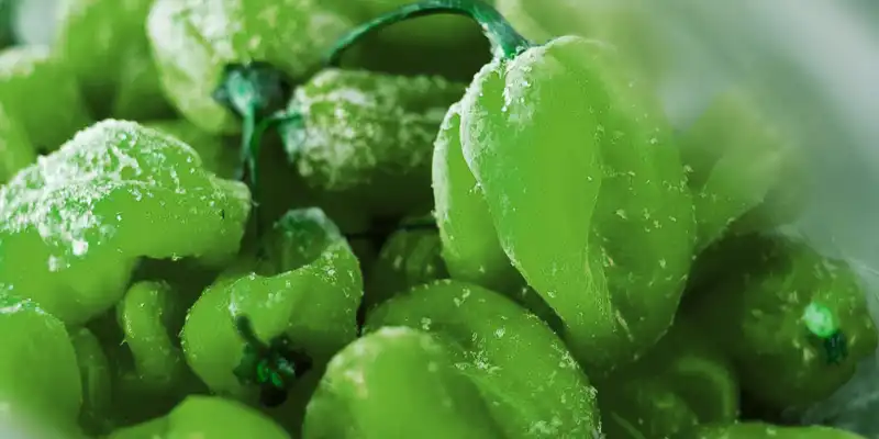 Frozen green pepper