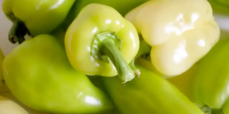 Green pepper (without salt)