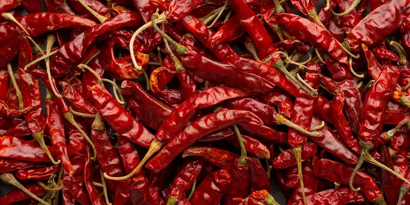 Dried hot chili pepper