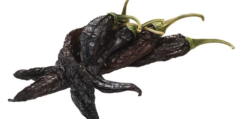 Dried pasilla pepper