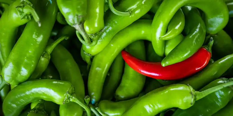 Raw serrano pepper