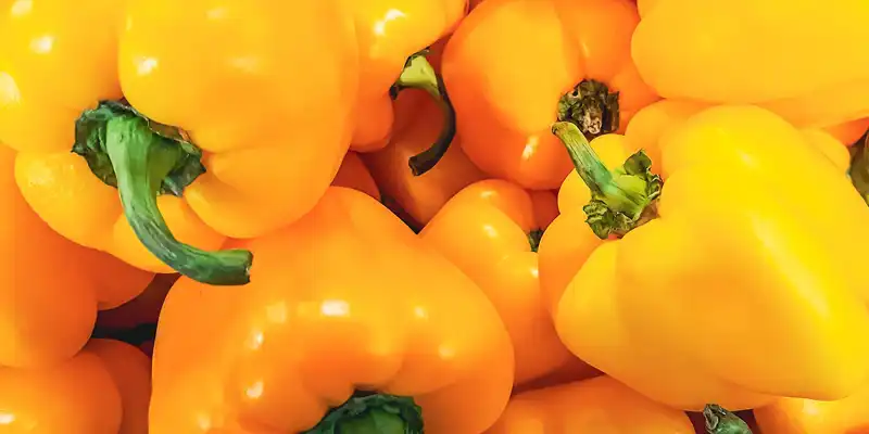 Raw yellow pepper sweet