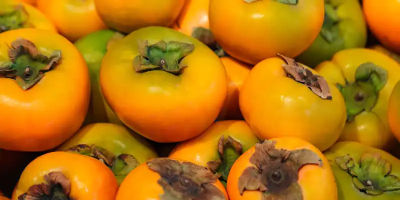 Raw japanese persimmon