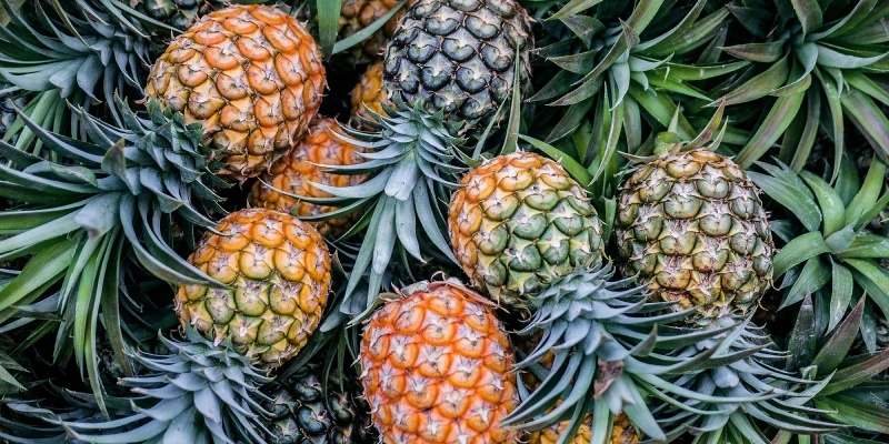 Ananas