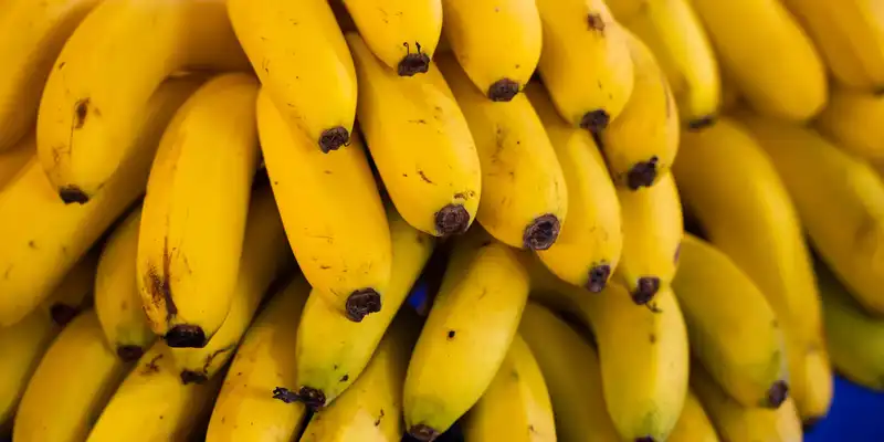 Raw yellow plantain