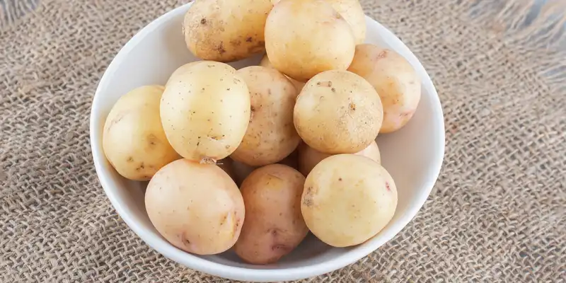 Boiled potato (skin)