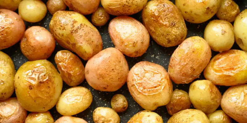 Cooked potato (cooked in skin, without salt)