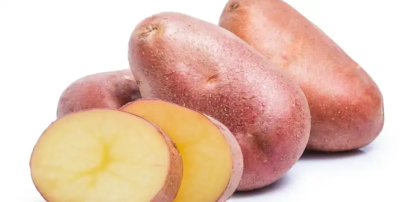 Potato (flesh and skin, without salt)