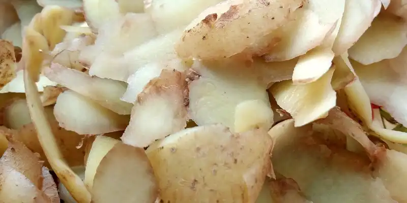 Batata crua (pele)