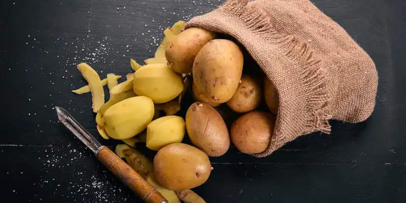 Raw russet potato (flesh and skin)