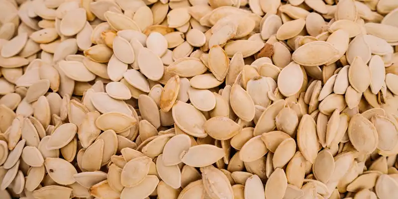 Pumpkin and squash seeds (without salt)