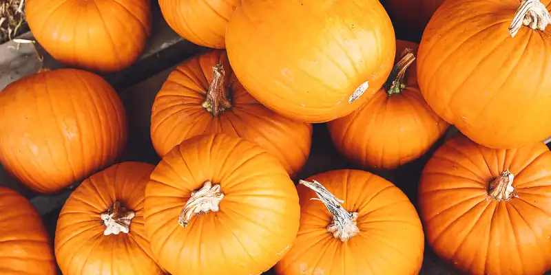 Calabaza (pumpkin) cruda