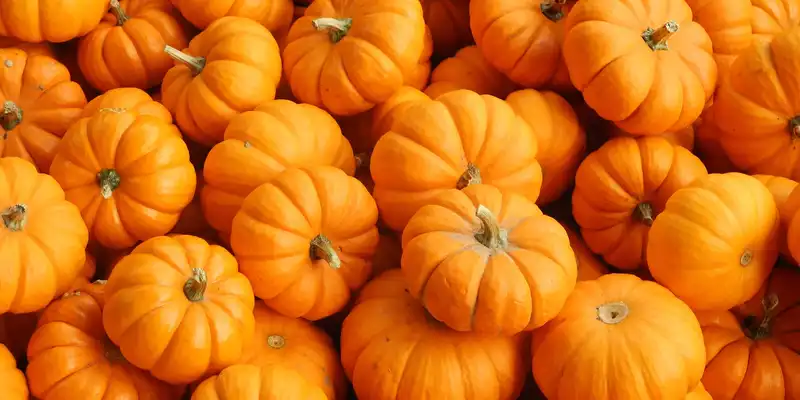 Pumpkin (without salt)