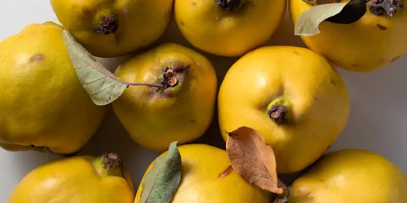 Raw quince