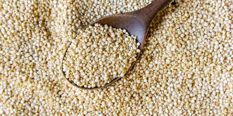 Quinoa crua