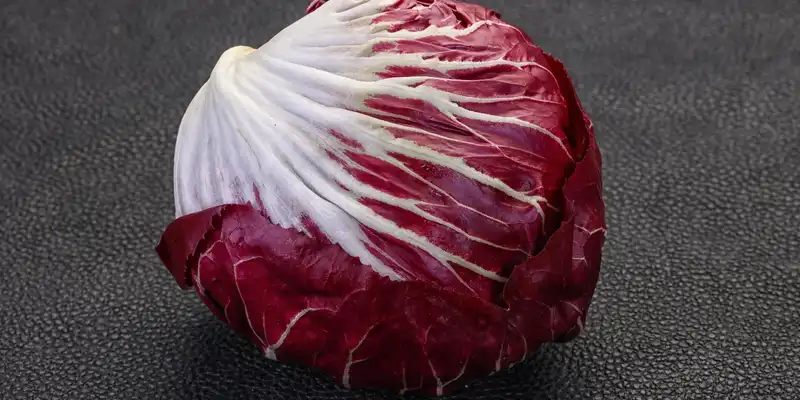 Radicchio