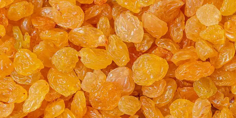 Golden raisin (seedless)