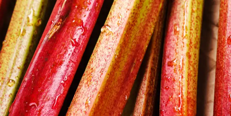 Frozen rhubarb