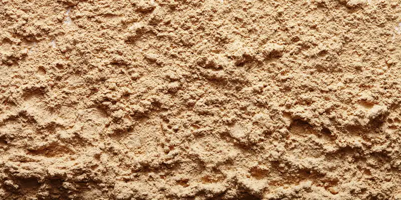 Brown rice flour