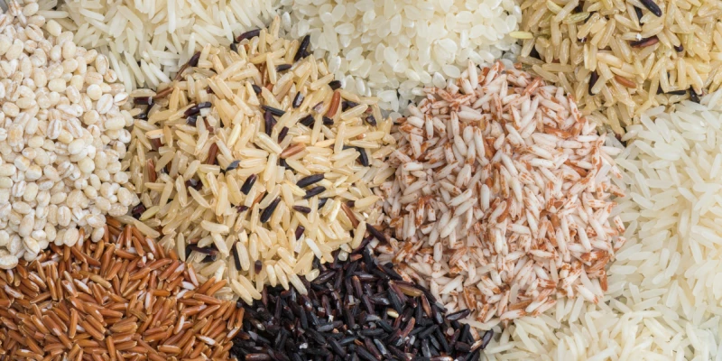 Riz