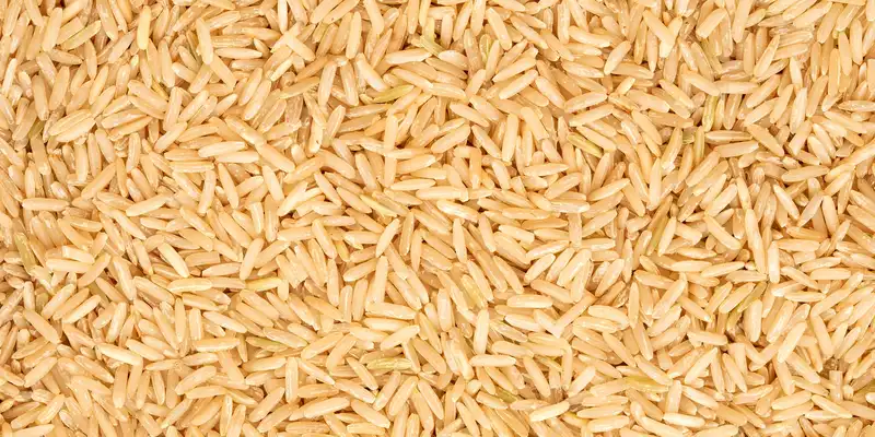 Riz brun long grain cru