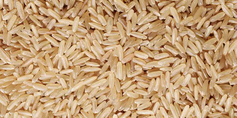 Arroz integral de grão médio cru