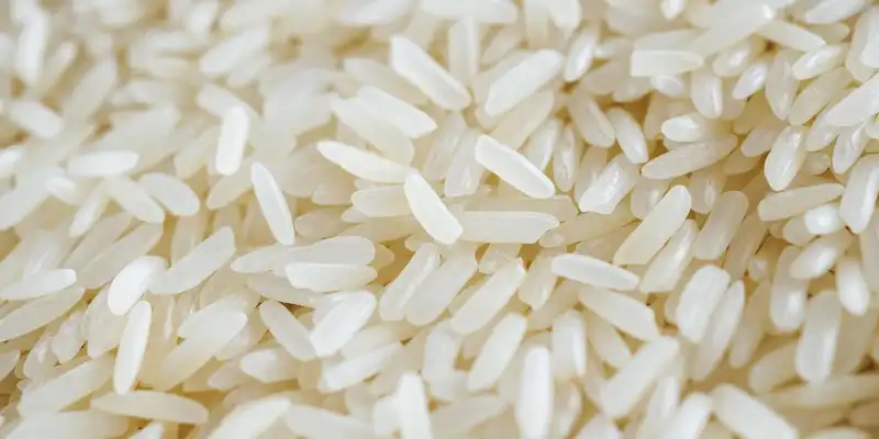 Arroz branco de grão médio cru