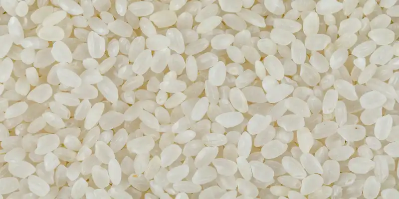 Arroz branco de grão curto cru