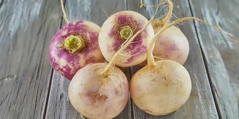 Rutabaga