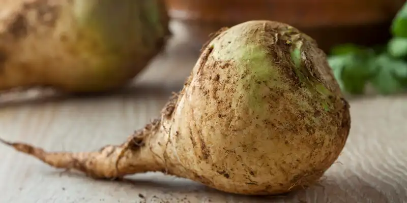 Raw rutabaga