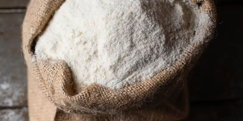 Light rye flour